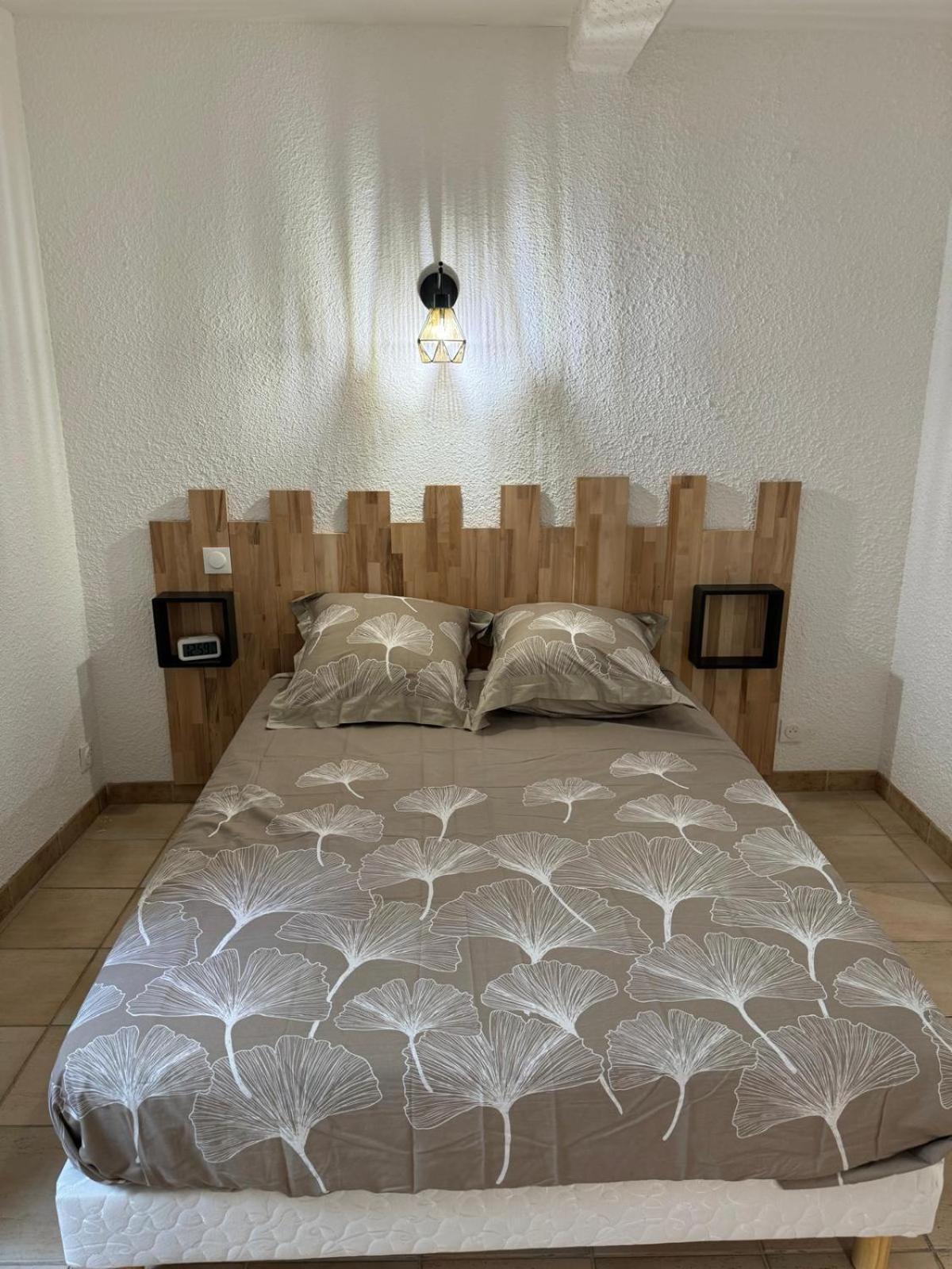 Charmant Appartement En Hypercentre De Castelnaudary Kültér fotó